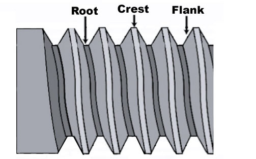 Bolt Root Crest Flank