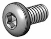 17-4PH Screws torx s
